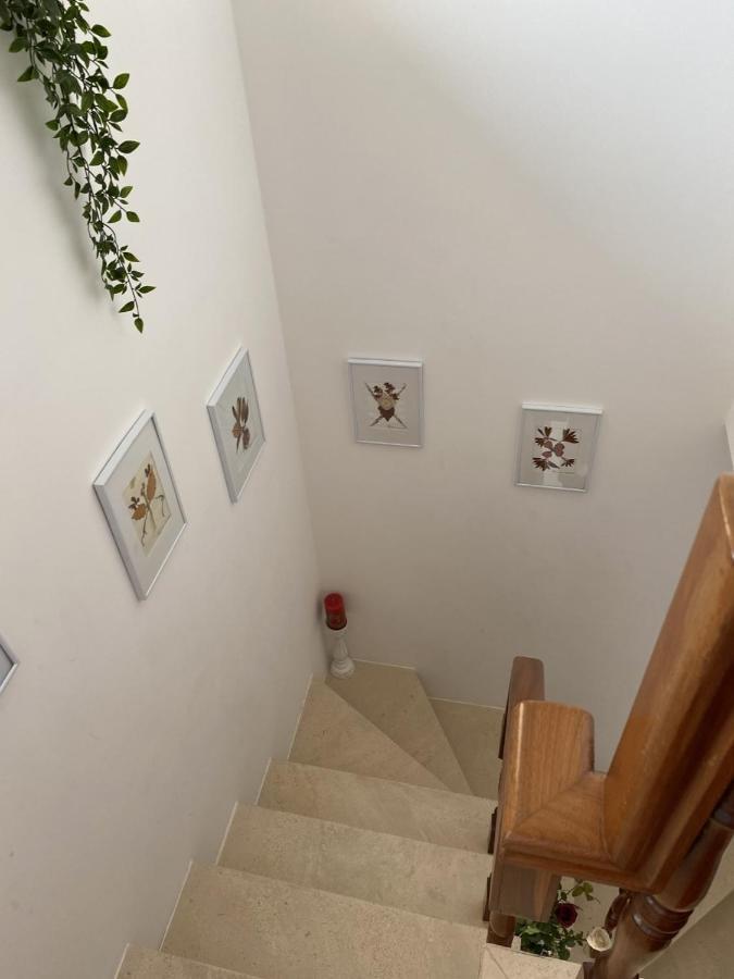 Casa Da Avo Fatima Apartment Gois Ngoại thất bức ảnh